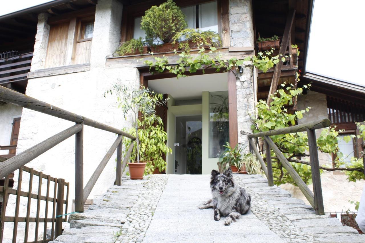 B&B Casa Gori Madice Exterior foto